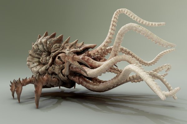 Kraken ссылка kraken torion